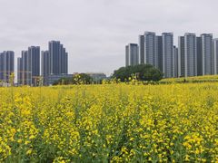 -光明小镇欢乐田园