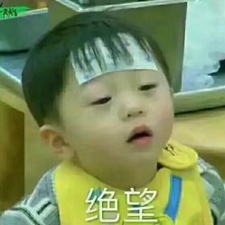 -FANPU·设计