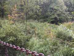 -三块石国家森林公园