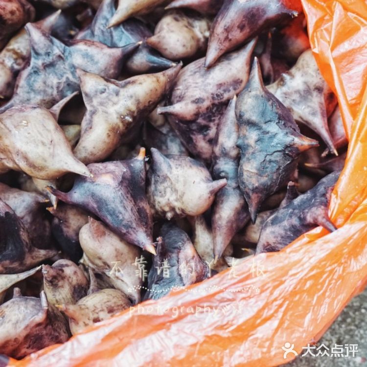 逃离钢筋水泥混凝土计划②。
