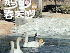 -太原动物园