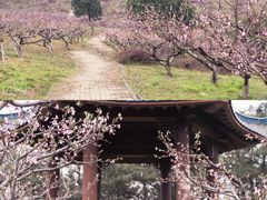 -竹上云想餐厅民宿