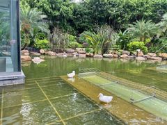 -南宁荔园维景国际酒店·荔园中餐厅