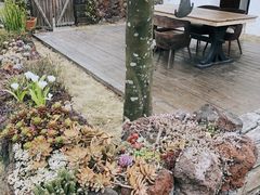 -悦哉·派对·草坪婚礼·围炉煮茶(三圣乡店)