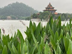 -顺峰山公园