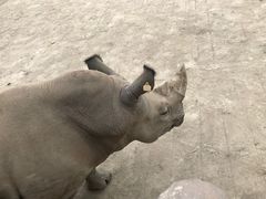 -济南野生动物世界