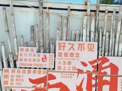 -西涌国际滨海旅游区