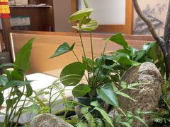 -贡宴盐帮菜自贡驻京联络处餐厅