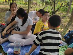 -上海长兴岛郊野公园