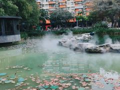 -四海公园(南山区)