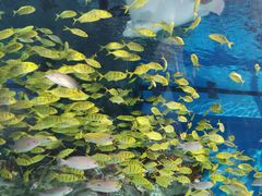 -海合安成都极地海洋公园