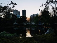 -和平公园