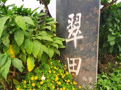 -翠田Green Field Kitchen