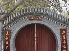 -桃花堤公园