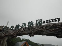 -大连森林动物园