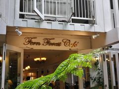 -Fern Forest Cafe