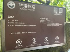 -都江堰中华大熊猫苑