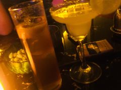 -TORA音乐酒馆