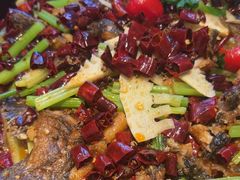 -老板恋上鱼(恒隆广场店)