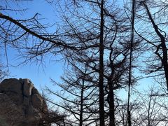 -崂山巨峰游览区