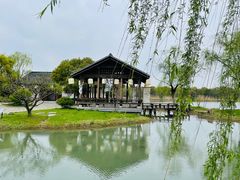 -尚湖风景区