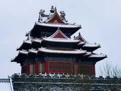 -故宫博物院(故宫)