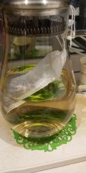 -妈妈时光机医疗产后修复(南山茂业百货店)