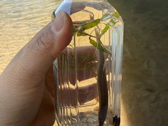 -绿堤公园