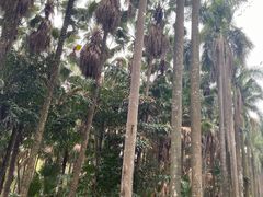 -华南国家植物园-售票处