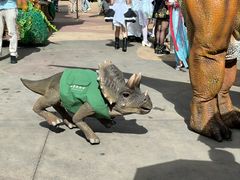 -世界恐龙谷景区