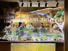 -帕帕拉兹宠物(亚洲旗舰店)