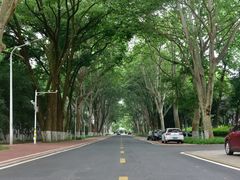 -华中师范大学-图书馆