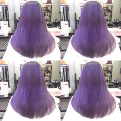 -SALON V