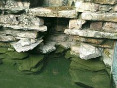 -祥源·阜阳生态乐园