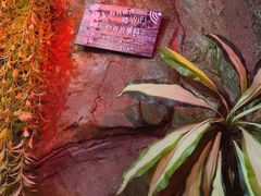 -醉小酒馆·川菜·江湖菜·重庆菜(观音桥旗舰店)