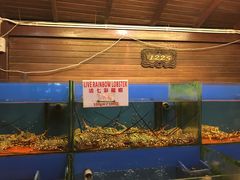 -真浪花园海鲜餐馆