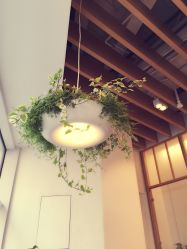 -悦诗风吟innisfree