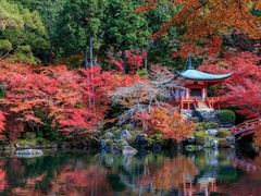 -醍醐寺