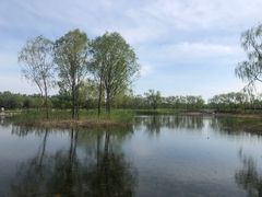 -大兴滨河森林公园