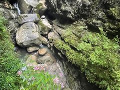 -鹿院坪生态旅游景区