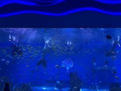 -石家庄极地海洋世界
