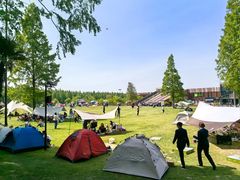 -黄海国家森林公园