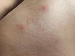 -张家港华芳金陵国际酒店