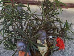 -雨花胜境