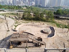 -青藏高原野生动物园