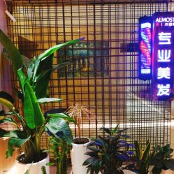 -CE·专业蛋白•羽毛接发·潮色烫染品牌店