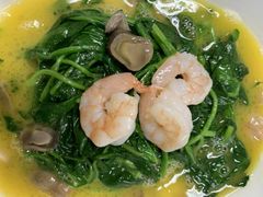 上汤菠菜-顺风海鲜港(金玉兰店)