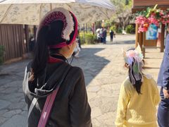 -云南民族村