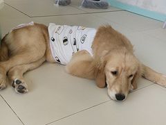 -怪兽屋·羊驼·猫咖·狗咖(俊华广场店)