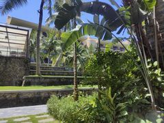 -采悦轩中餐厅·粤菜·海南菜(神州半岛喜来登度假酒店)